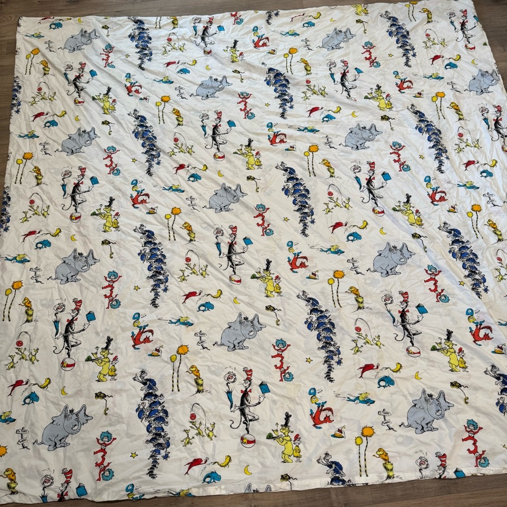 Pottery Barn Kids Dr. Seuss Queen Size Duvet